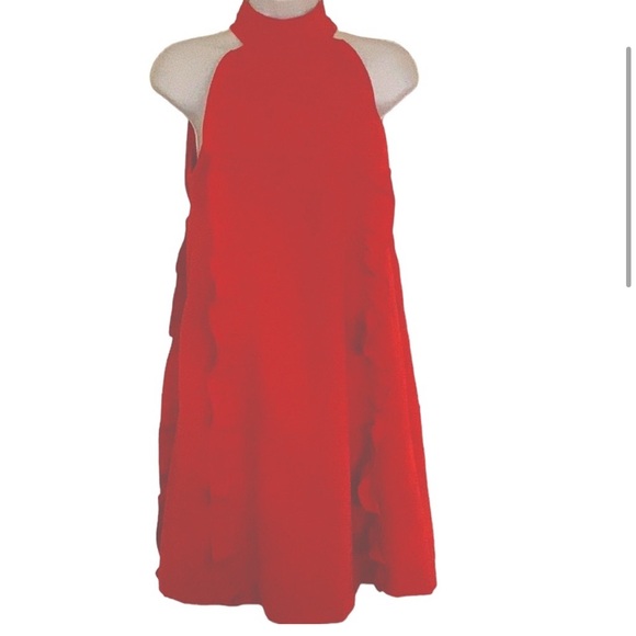 Ted Baker Ruffle Dress - Picture 4 of 7